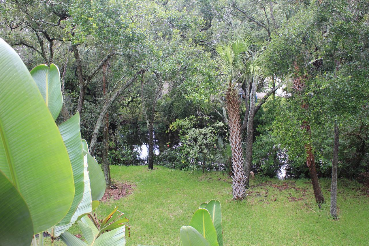Villa Treehouse Tampa Exterior foto