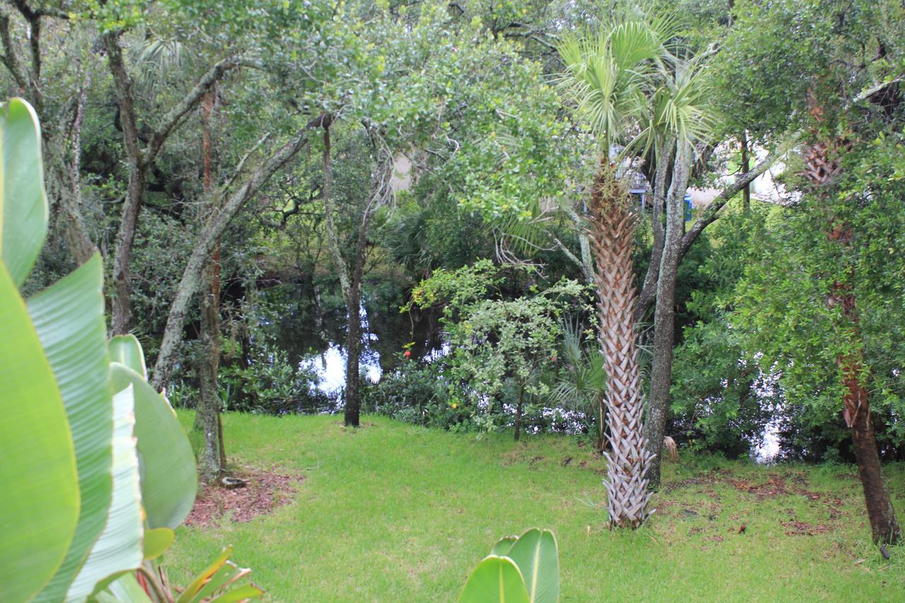 Villa Treehouse Tampa Exterior foto